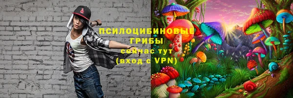 кокс Аркадак