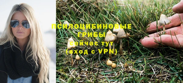 кокс Аркадак