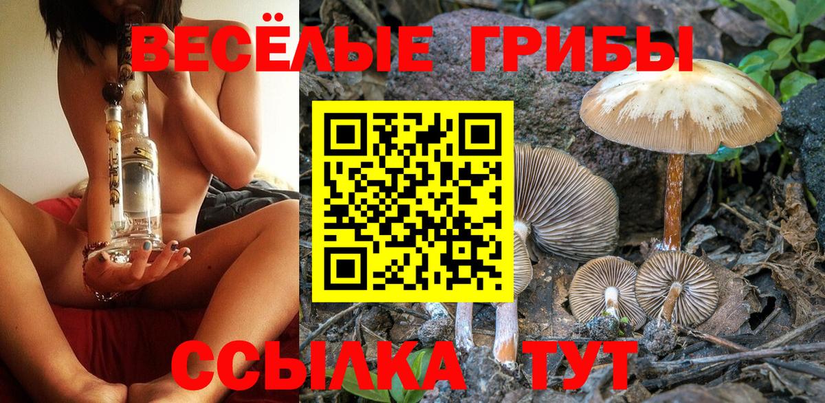 цена наркотик  Вход с VPN  Бугульма  Псилоцибиновые грибы GOLDEN TEACHER 